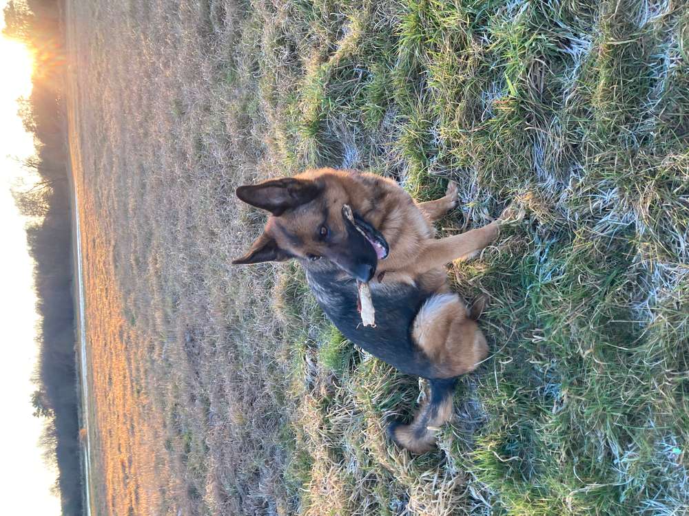 Suchmeldung-Mina-Profilbild