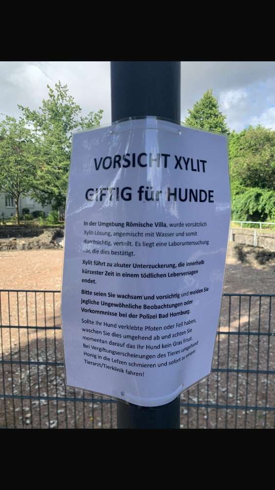 Giftköder-Vorsicht Xylith -giftig für Hunde-Profilbild