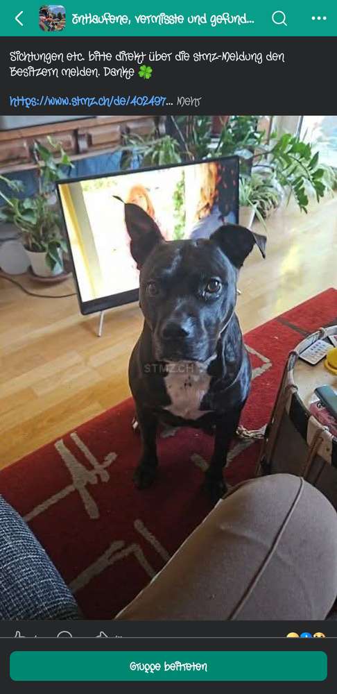 Suchmeldung-Mia-Profilbild