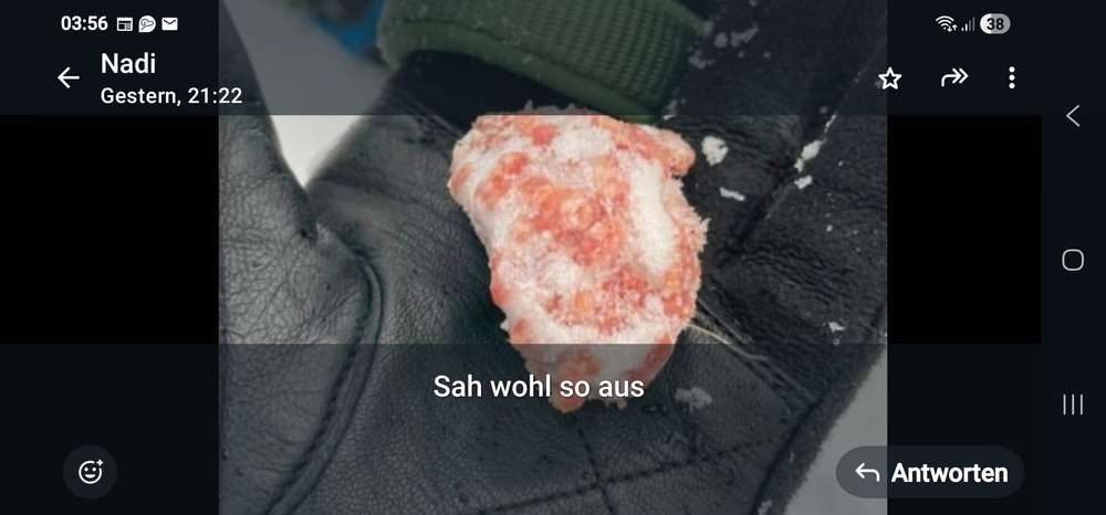 Giftköder-Giftköder-Profilbild