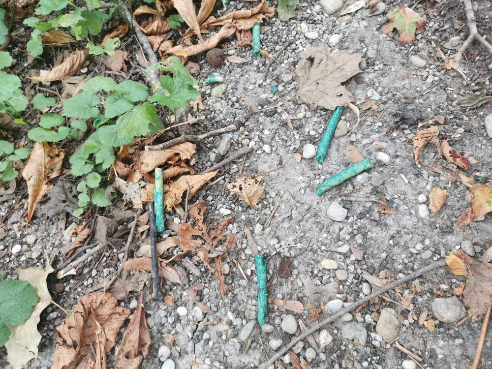 Giftköder-Rattengift an Kartoffelchips-Profilbild