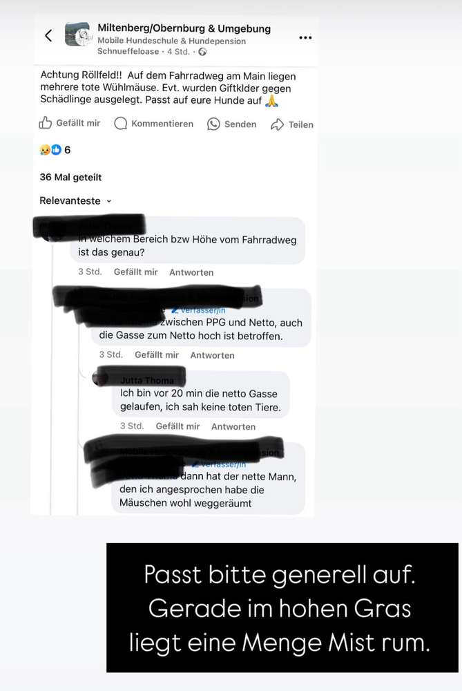 Giftköder-Rattengift-Profilbild