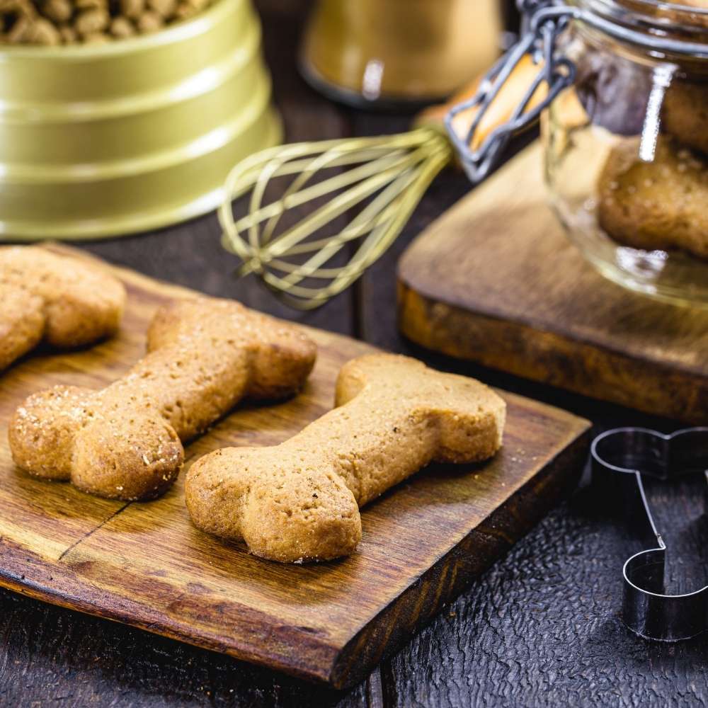 Baking for Dogs Banner