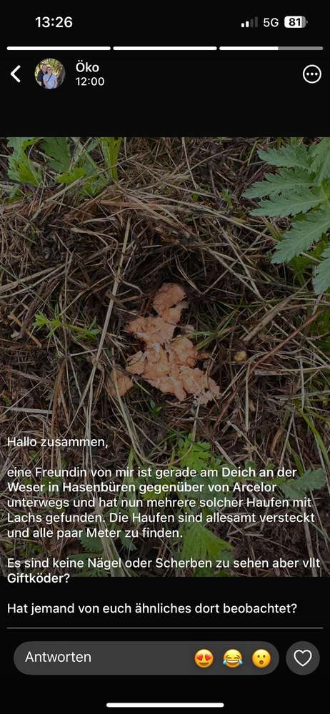 Giftköder-Giftiger Lachs-Profilbild