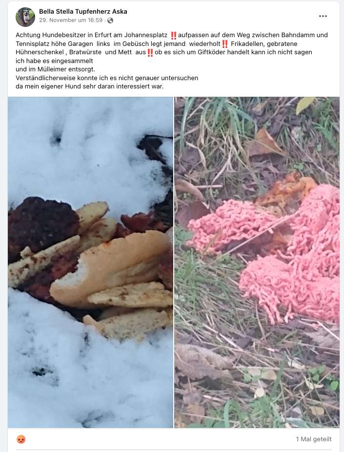 Giftköder-Ausgelegte Frikadellen-Profilbild