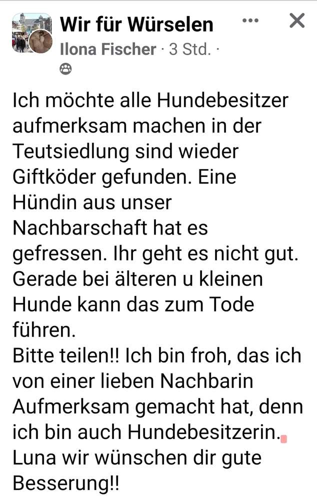 Giftköder-Giftköder-Profilbild