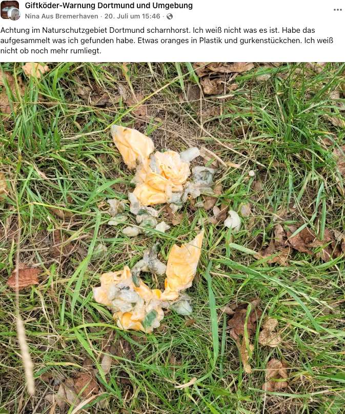 Giftköder-Giftköder-Profilbild