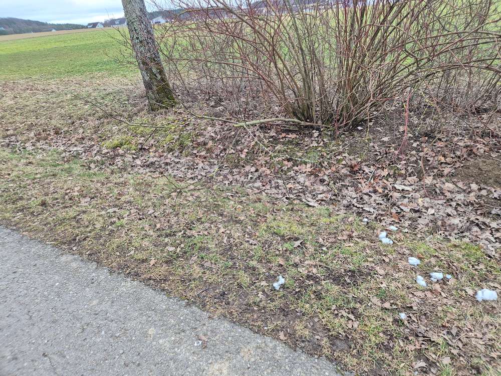 Giftköder-Giftköder-Profilbild