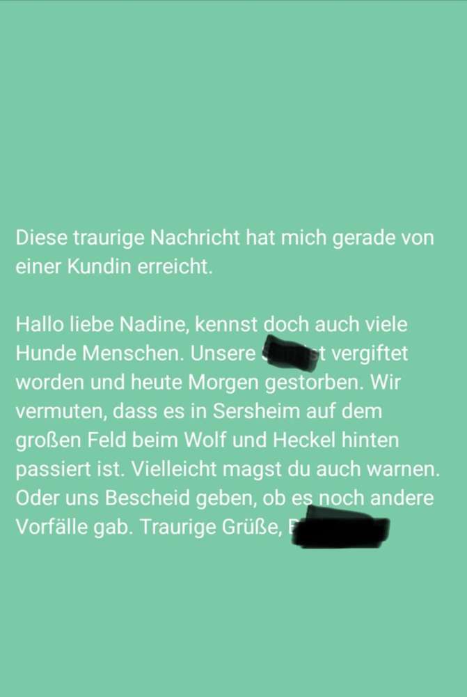 Giftköder-Giftköder-Profilbild