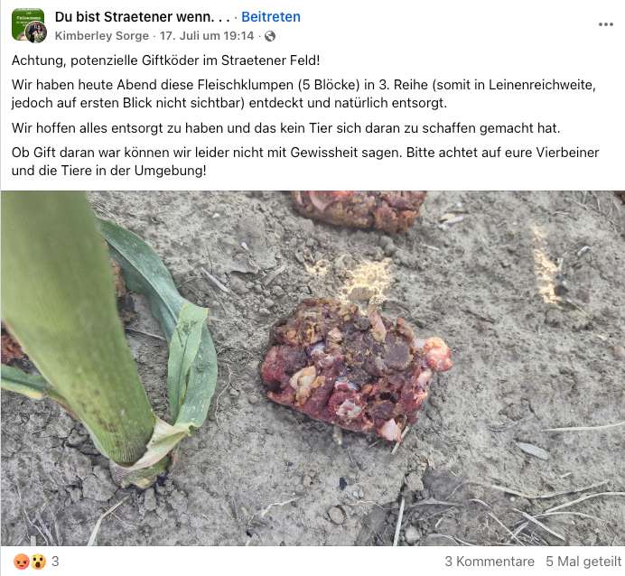 Giftköder-Giftköder-Profilbild