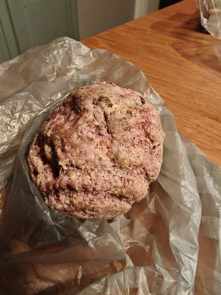 Giftköder-Gefrorene Giftköder-Profilbild