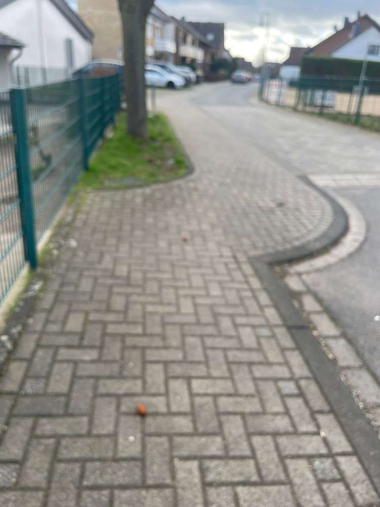 Giftköder-Leckereien mit Nägeln-Profilbild