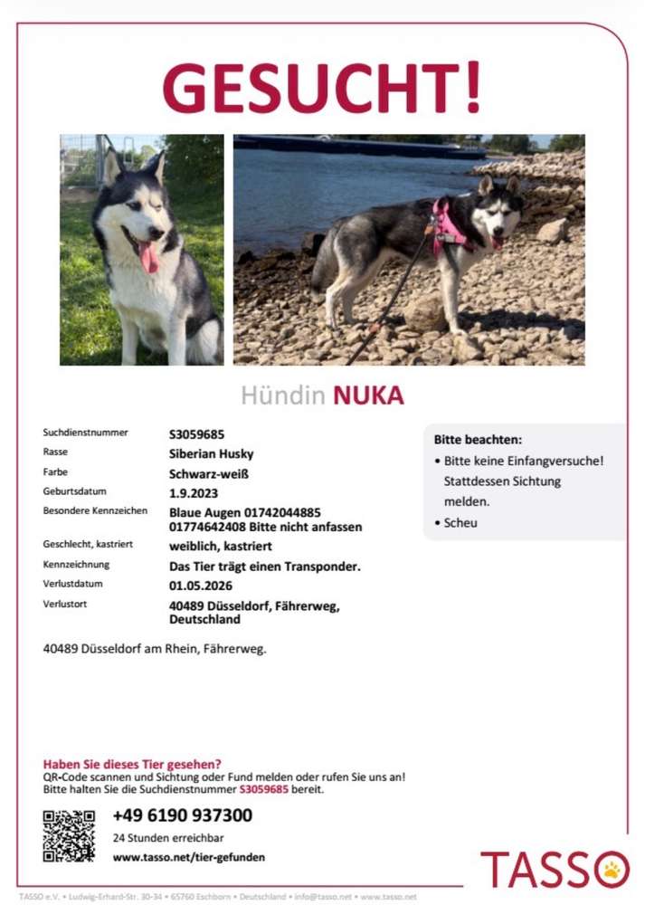 Suchmeldung-Nuka-Profilbild