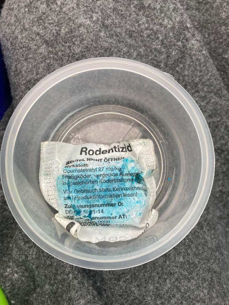 Giftköder-Giftköder-Profilbild