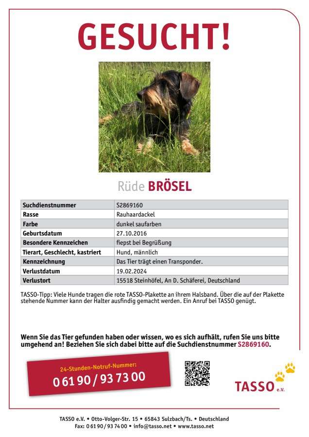 Suchmeldung-Brösel-Profilbild