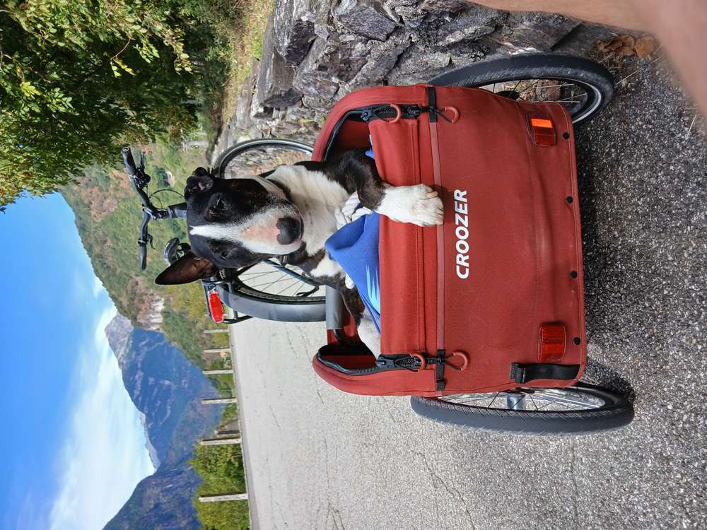 Suchmeldung-Rübe-Profilbild