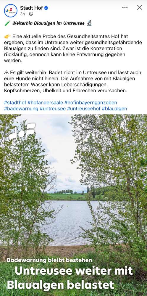 Giftköder-Blaualgen-Profilbild