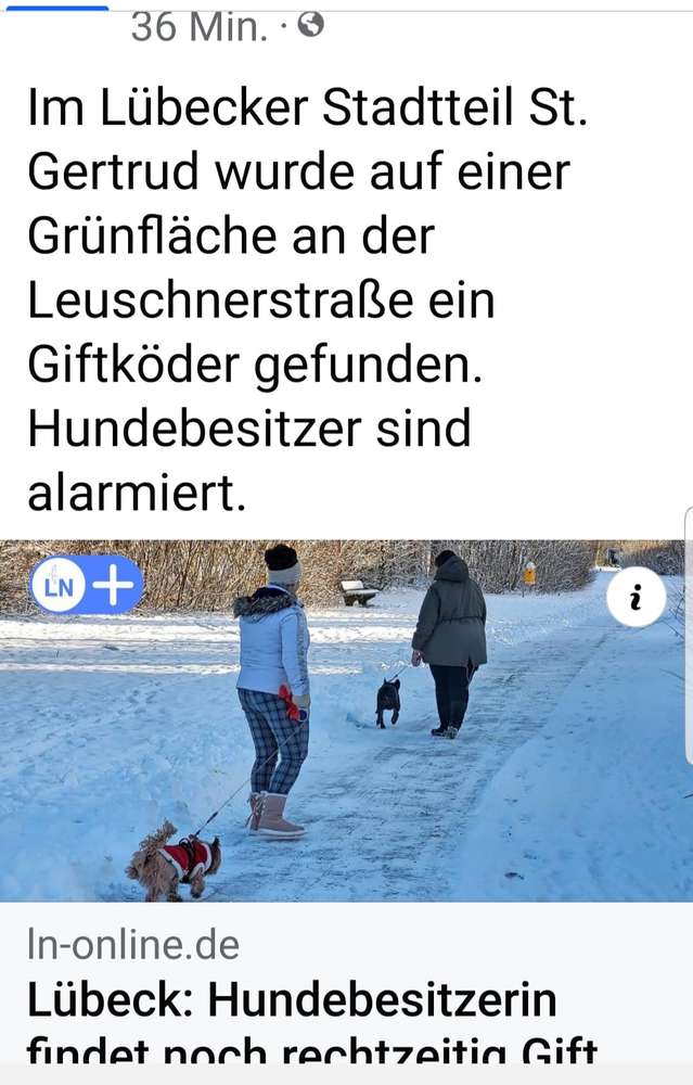 Giftköder-Giftköder-Profilbild