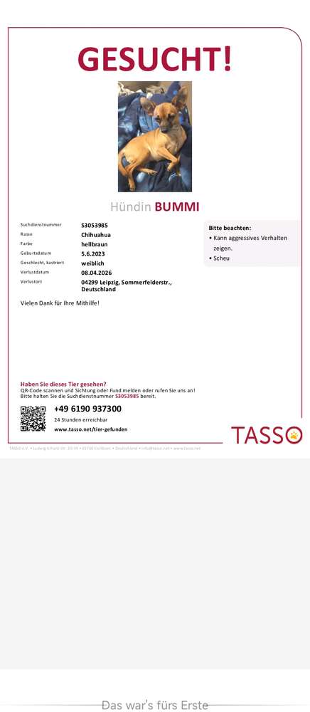 Suchmeldung-bummi-Profilbild