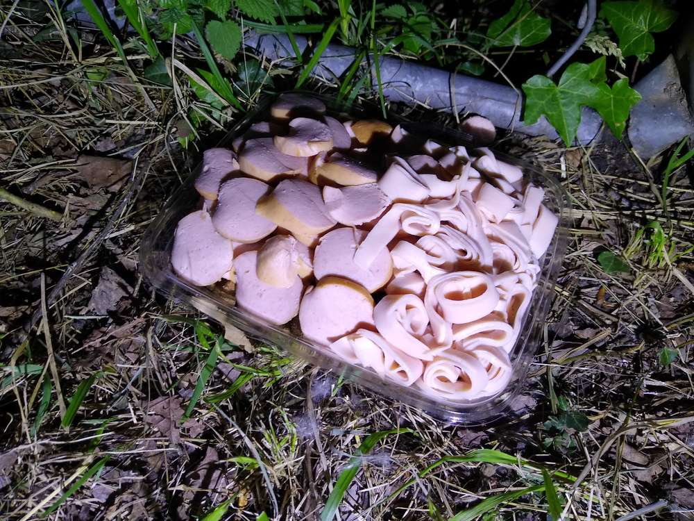 Giftköder-Auffällige Schale mit kleingeschnittenen Würstchen, Schinken und Hundefutter-Profilbild