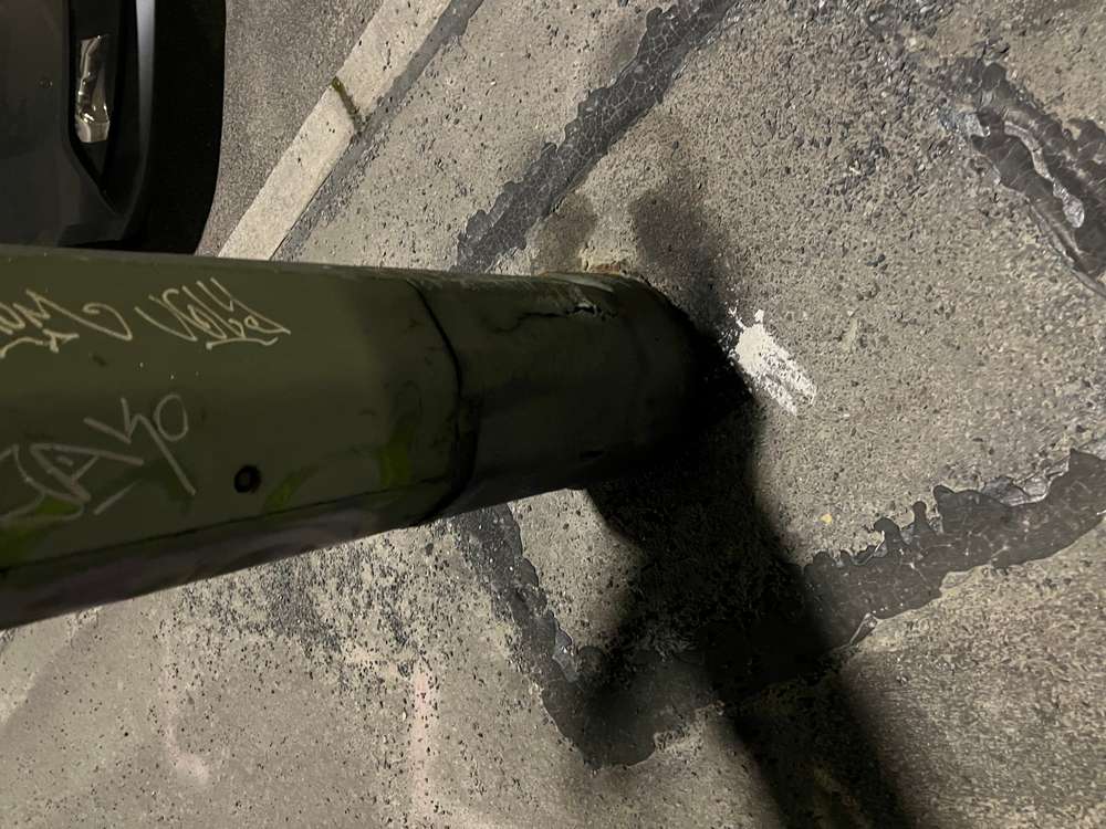 Giftköder-Giftköder-Profilbild