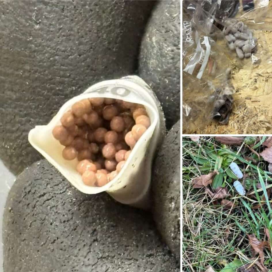 Giftköder-Giftköder-Profilbild