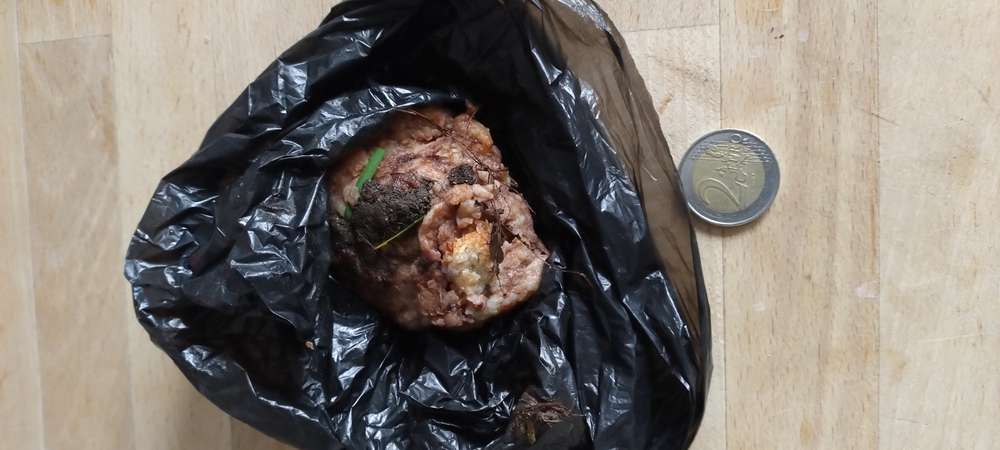 Giftköder-Giftköderverdacht-Profilbild