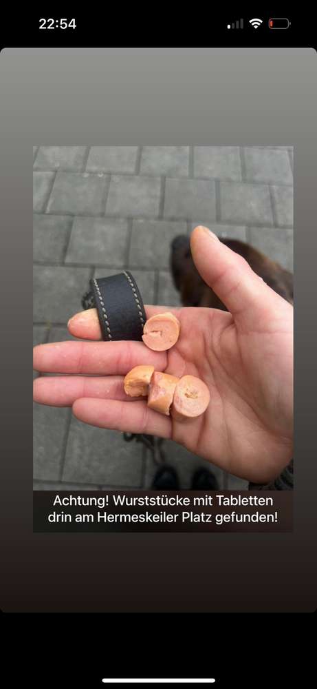 Giftköder-möglicherweise Giftköder-Profilbild