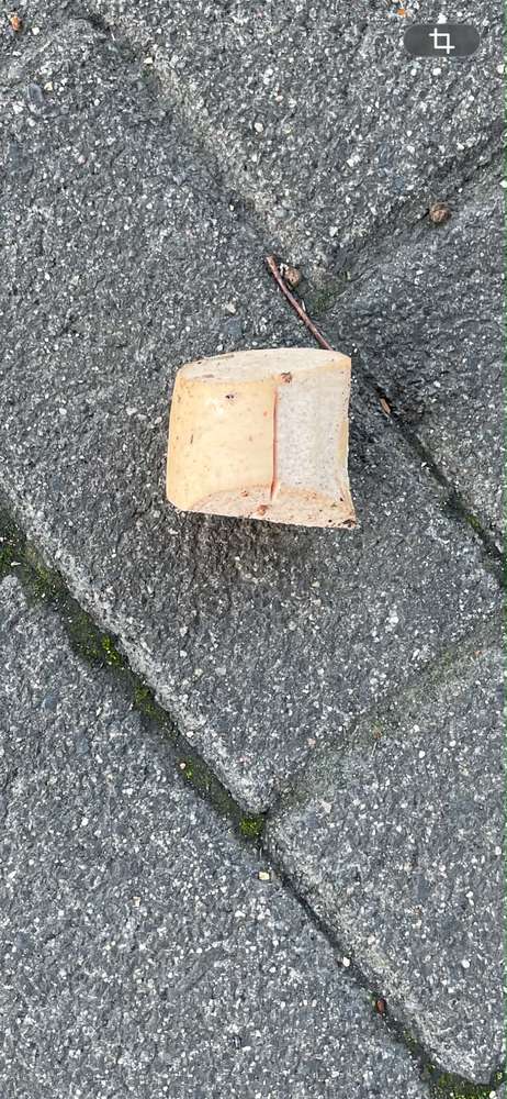 Giftköder-Fleischwurst -Profilbild