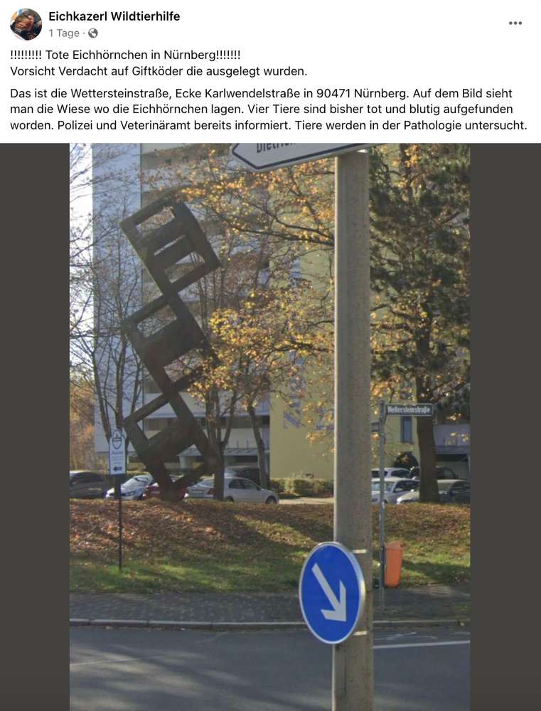 Giftköder-Giftköder-Profilbild