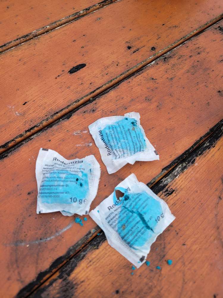 Giftköder-Giftköder im Garten-Profilbild