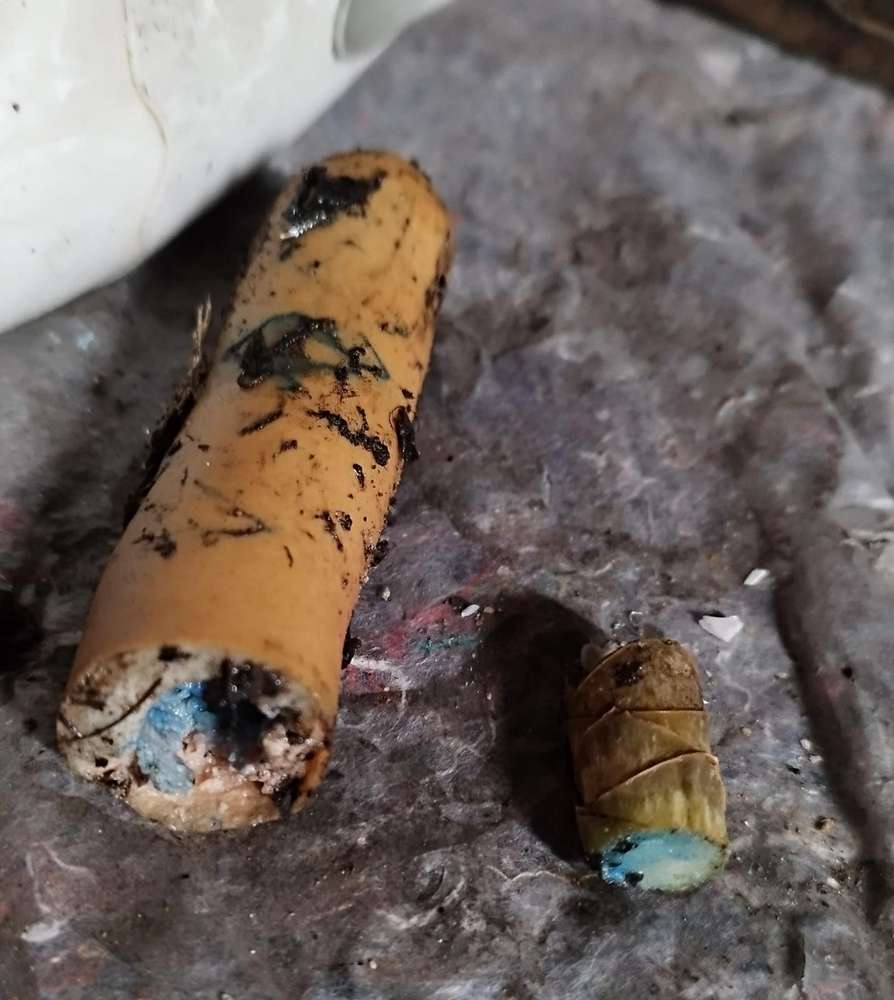 Giftköder-Wiener Wurst mit Ratengift -Profilbild