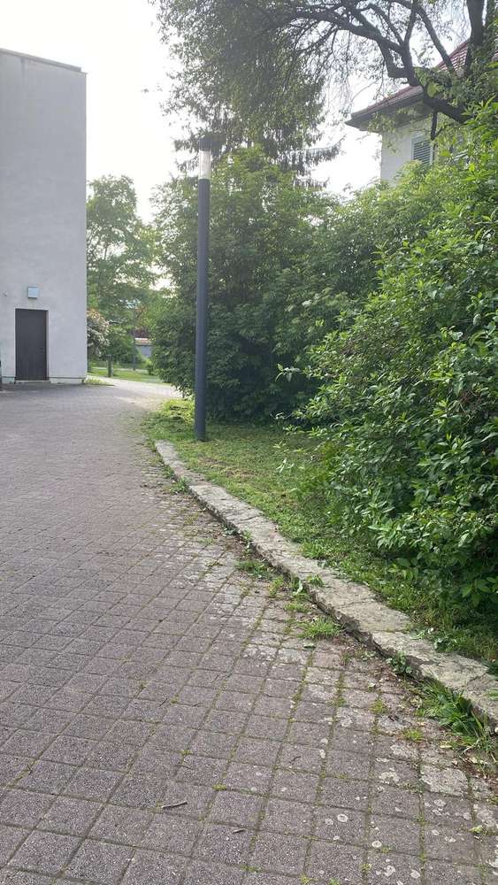 Giftköder-Giftköder-Profilbild