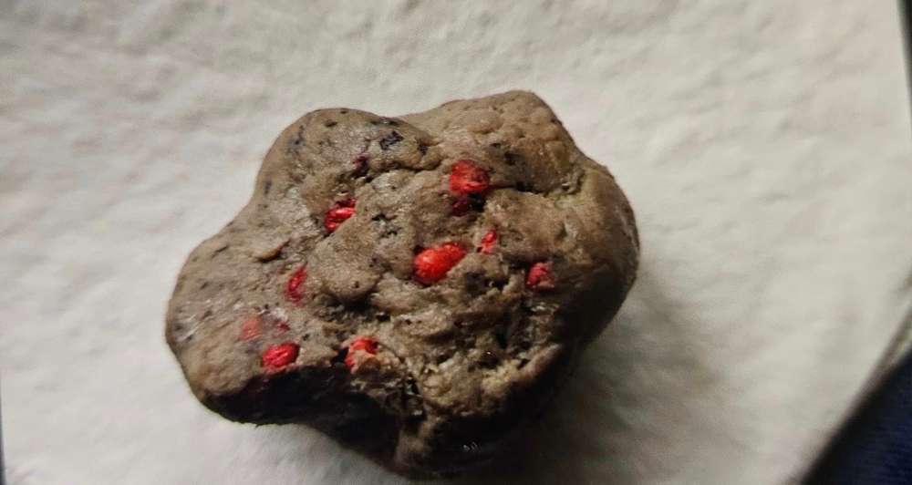 Giftköder-Giftköder-Profilbild