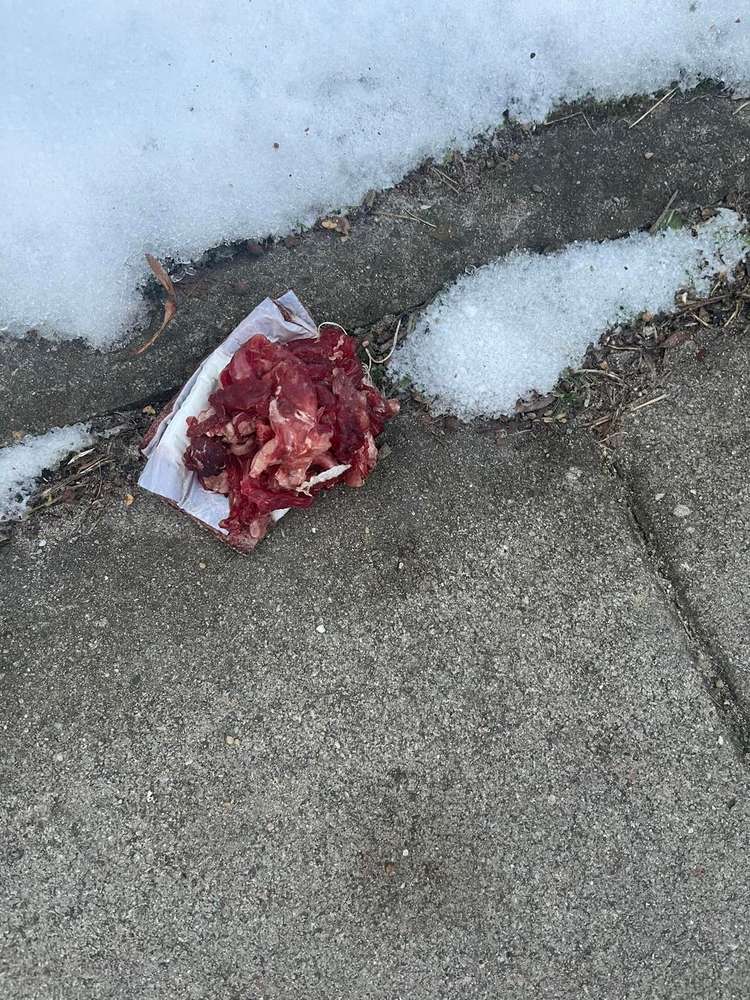 Giftköder-Möglicher Giftköder-Profilbild