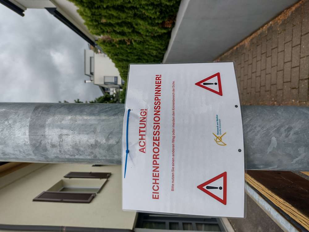 Giftköder-Eichenprozessionsspinner -Profilbild