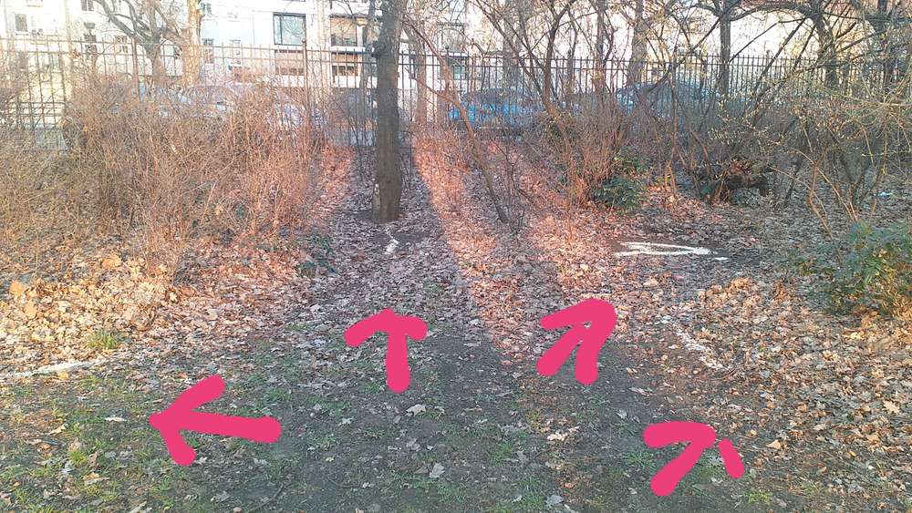 Giftköder-Haferflockenhaufen im Volkspark/ Danziger Str. -Profilbild