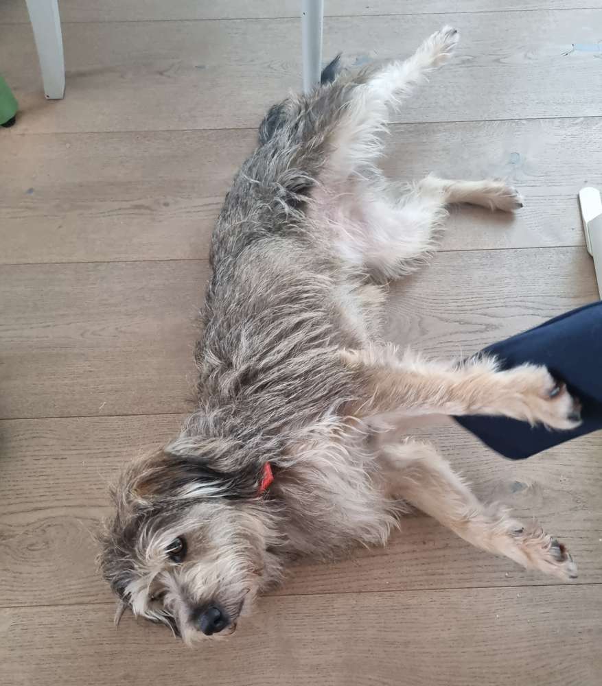 Suchmeldung-Juki-Profilbild