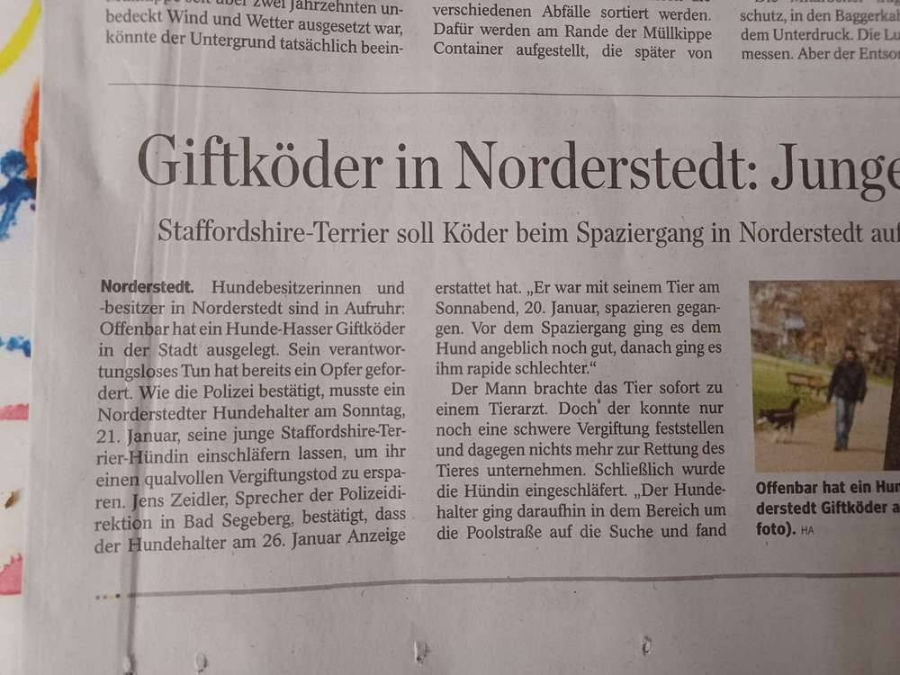 Giftköder-Giftköder-Profilbild