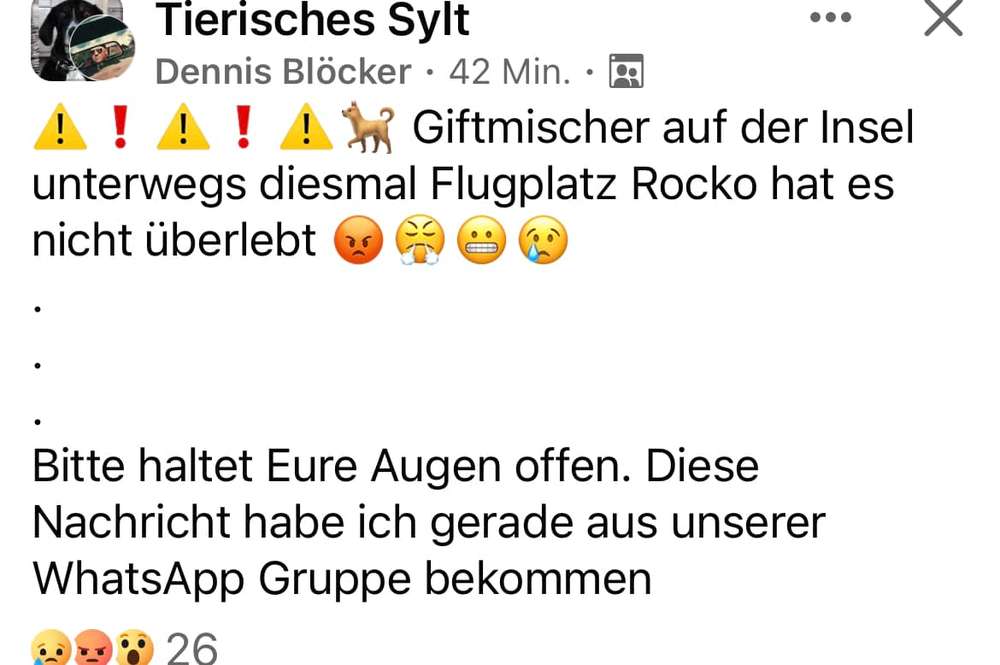 Giftköder-GIFTKÖDER-Profilbild