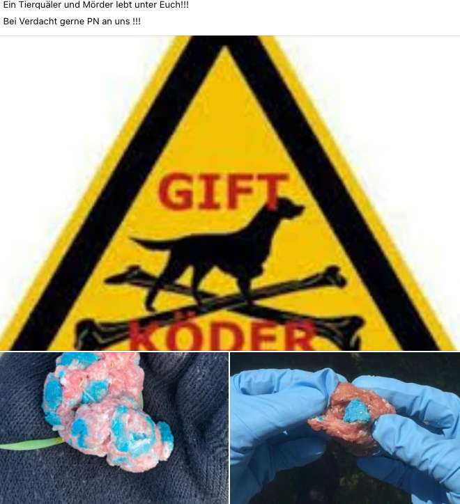 Giftköder-Giftköder-Profilbild