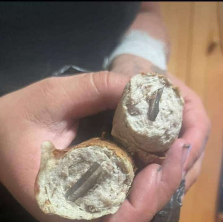 Giftköder-Bratwurst mit Scherben-Profilbild