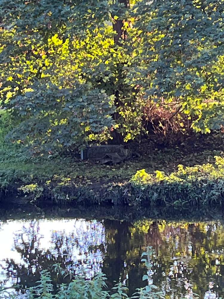 Giftköder-Lebendfalle-Profilbild