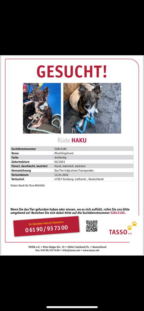 Suchmeldung-Haku-Profilbild