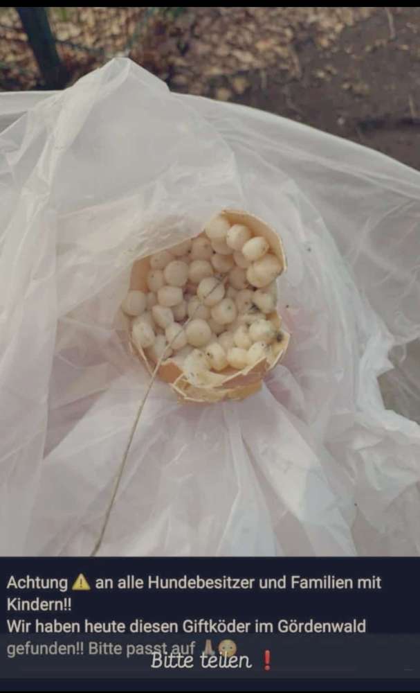 Giftköder-Tabletten-Profilbild