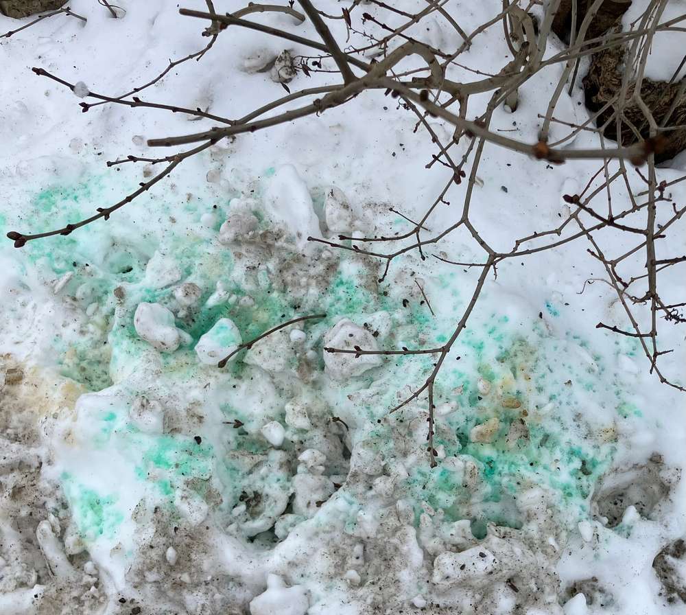 Giftköder-Grüne Flüssigkeit in Schneehaufen - Hund hat kurz geleckt und sofort gebrochen 📍📍-Profilbild