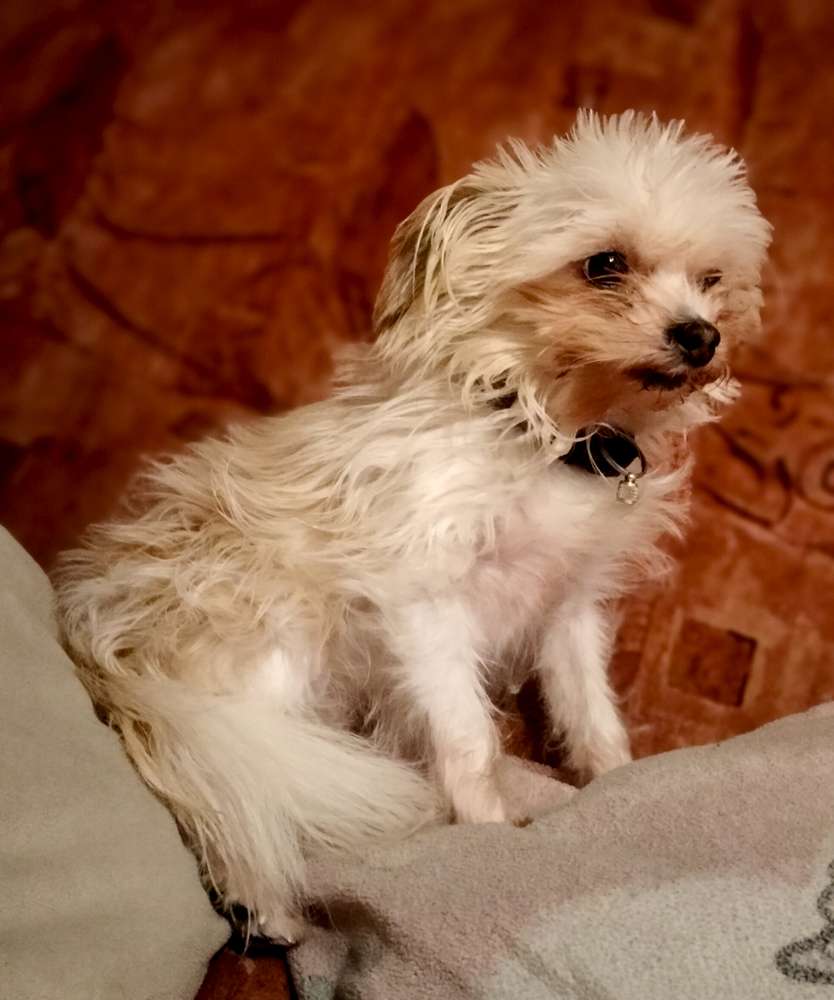 Suchmeldung-Annabelle -Profilbild