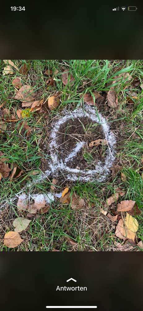 Giftköder-Rosa Granulat und Pulver-Profilbild