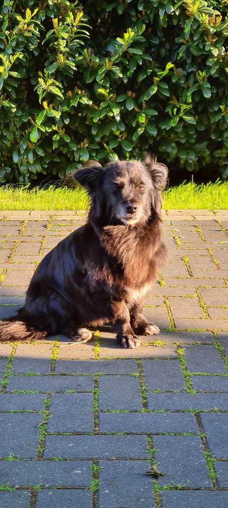 Suchmeldung-Laila-Profilbild