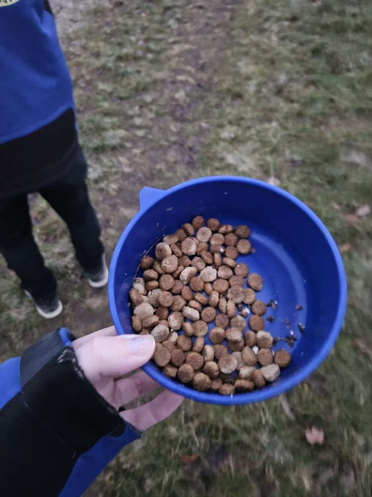 Giftköder-Vermutlicher Giftköder-Profilbild